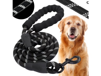 PA0331 VODILO ZA PSA