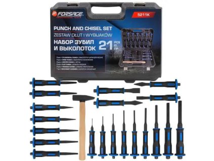 Set chisel and punches 21 pcs in case