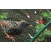 ZAŠČITNA MREŽA PROTI PTICAM 4x5m (18g/m2) *2484