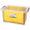 KONTEJNER MULTI BOX 30L ZA ČEBELJE OKVIRJE *4146
