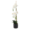 UMETNA ROŽA - BELE ORHIDEJE 77 CM