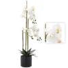UMETNA ROŽA - BELE ORHIDEJE 77 CM