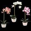 UMETNI CVET - ORHIDEE MIX 3 BARVE 43 CM 1kos