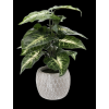 UMETNA RASTLINA 36 CM *4894