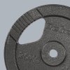 obciazenie zeliwne 20kg otwor 31mm talerz z uchwytami rebel active a67365340a0f46e5b3d68137dafa210d 3c1d71c6