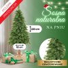 Božično drevo 220cm CT0115