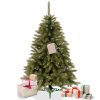 193077 ct0118 choinka swierk kaukaski 120 cm M0