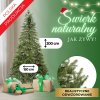 Božično drevo 200cm CT0149