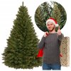 Božično drevo 220cm CT0082