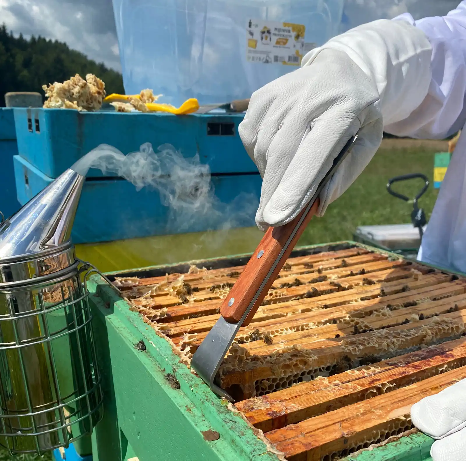 Včelárske dláto z nehrdzavejúcej ocele s drevenou rukoväťou a rozpierakom 26 cm CH-BEE3820