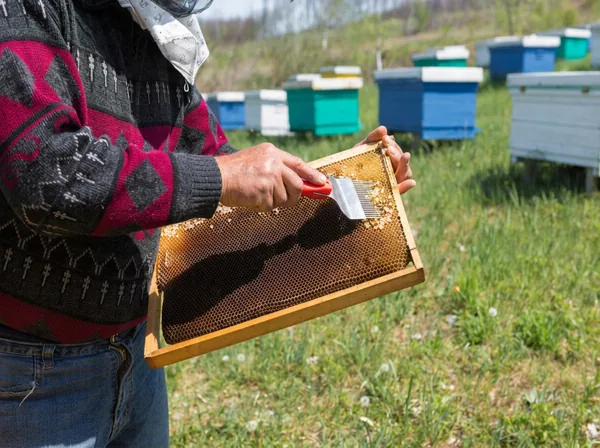 Odviečkovacia vidlička s plastovou rúčkou 10,5 cm CH-BEE3875 - detail 2