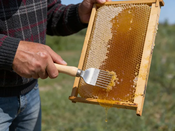 Odviečkovacia vidlička s drevenou rukoväťou 20 x 6,5 cm CH-BEE4049