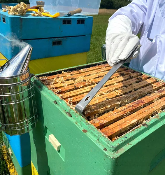 Nerezové včelárske dláto s hákom a rozpierakom 26 cm CH-BEE6594
