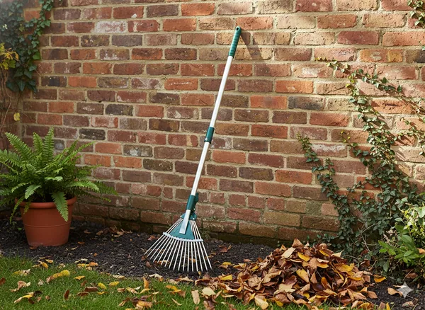 Nastaviteľné vejárové hrable na lístie s teleskopickou násadou 54–73 cm CH-EDA9050 - detail 2