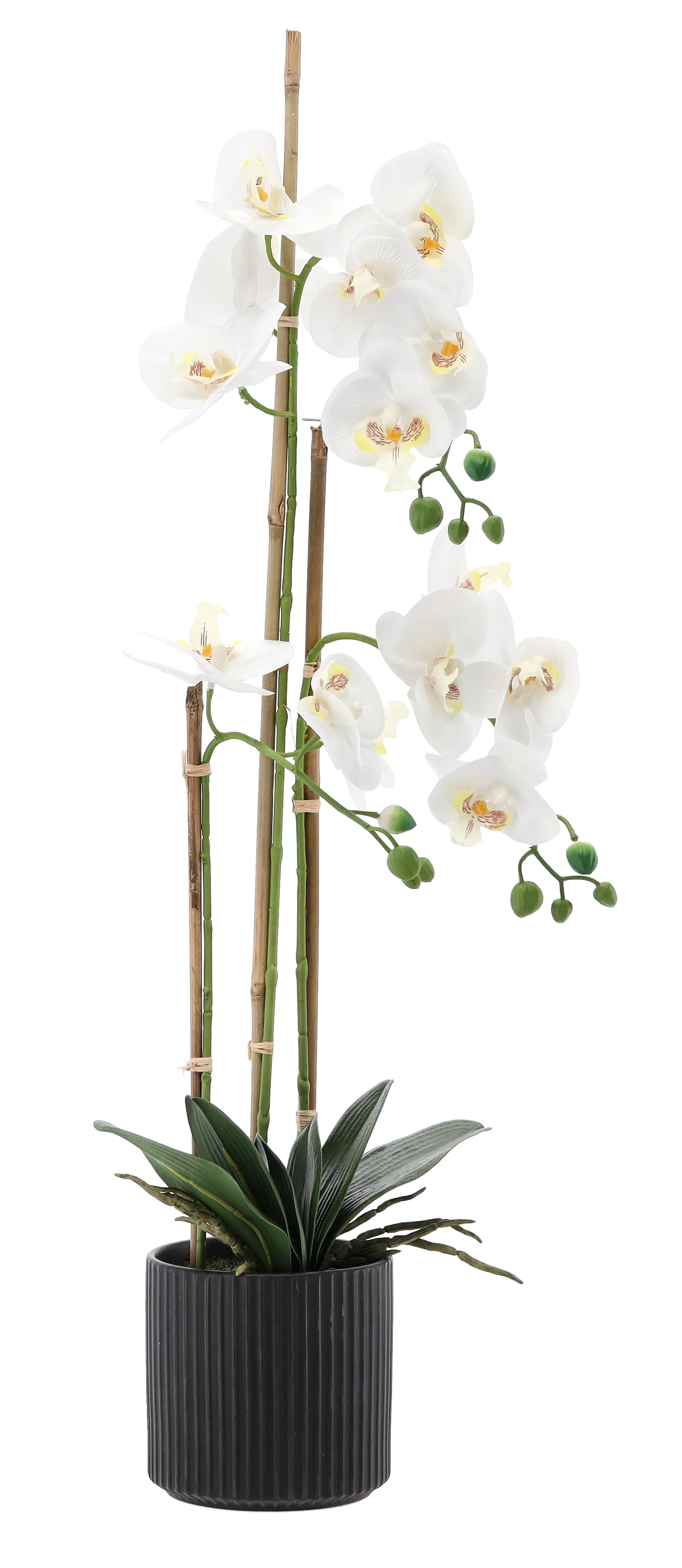 Biela umelá orchidea v kvetináči 77 cm CH-HID4764