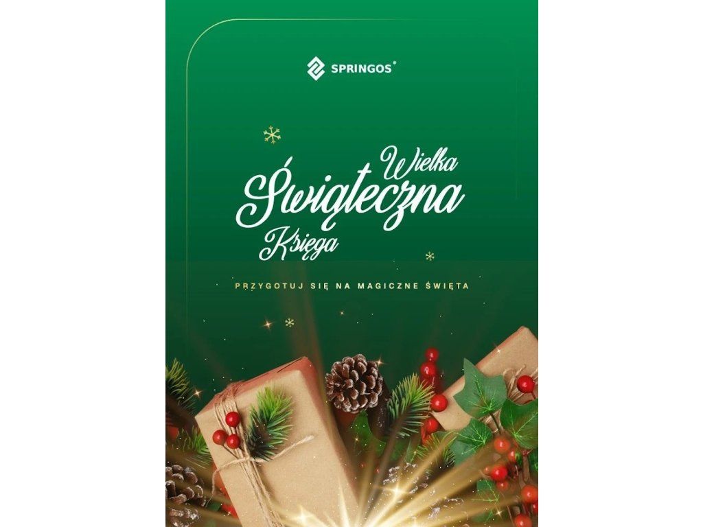 Vianočný svetelný reťazec 1000 LED studená biela 80 m IP44 S-CL1004 - detail 2