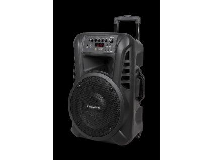 aktywna kolumna glosnikowa z 2 mikrofonami bezprzewodowymi uhf sd bluetooth fm usb 40 watt 70663b2a5ecd4c12949d396cc8981028 e02ab000