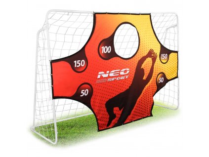 Futbalová bránka s otvormi 245x155x80cm