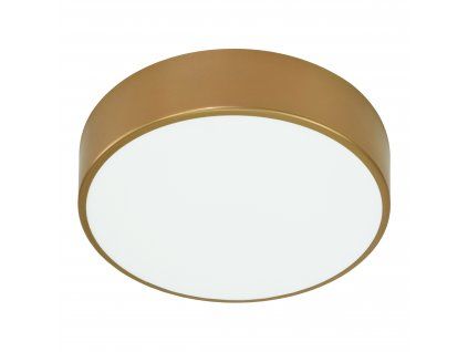 Stropné LED svietidlo O-AD-PL-6290CLSM4