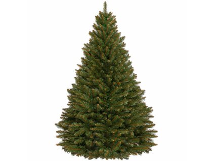 97570 ct0080 choinka swierk kaukaski 150 cm M0