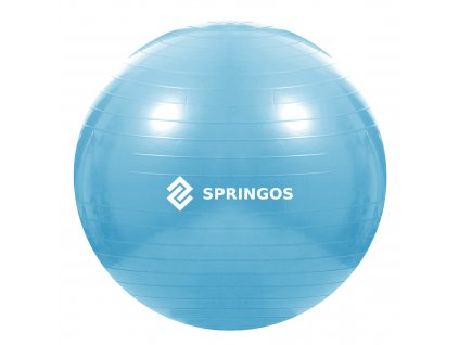 18178 fb0006 pilka gimnastyczna z pompka 55 cm M0