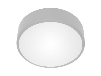 Stropné svietidlo 2xE27, 24W, šedé, IP54