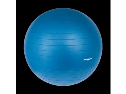 pilka gimnastyczna rehabilitacyjna 65cm z pompka reczna kolor niebieski rebel active 5d1953ba093b43cd9a0c133e5c8022e9 7f8c7295