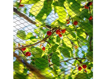 AB0002 SIEŤ PROTI VTÁKOM 8X20 M 20 KOTIEV