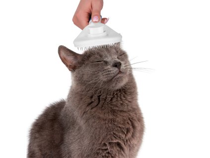 PA0264 KEFA NA SRSŤ