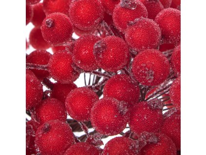 CA0209 UMELÝ MRAZENÝ JARABINA ? 12 MM 10-11 CM 100 KS.