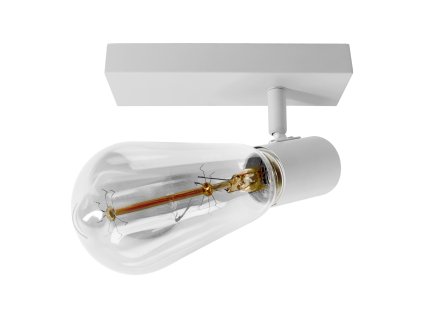 Biela nástenná a stropná lampa E27, 60W