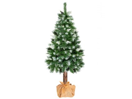 97351 ct0110 sosna diamentowa na pniu 160 cm M0