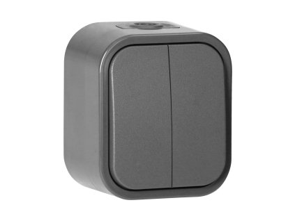 Povrchovo montovaný dvojitý spínač B2, 10A, 250V, IP54, WNT-2B2, sivý