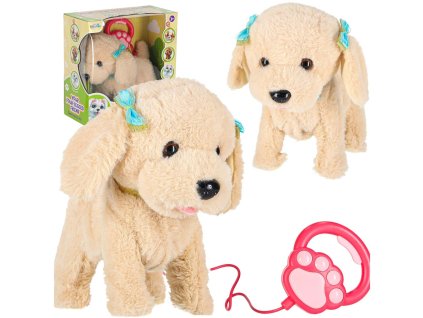 Interaktívny pes na vodítku šteká chodí vrtí chvostom Pudel