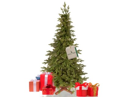 CT0256 PREMIOVÝ HIMALÁJSKY SMREK 180 CM