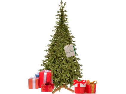 CT0258 HIMALAJSKÝ SMREK PREMIUM 240 CM