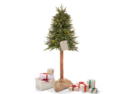 CT0198 PRIRODNÝ SMREK NA KMENI 150 CM