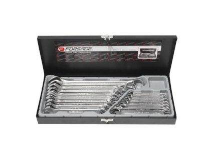 FORSAGE Sada plochých a očkových kľúčov 16 KUSOV CR-V oceľ v KUFRI