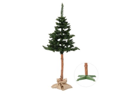 VIANOČNÝ STROMČEK NA KMENI BOROVICA HIMALÁJSKA ''Delux'' 190 CM *0660*