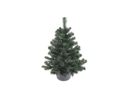 SMREK MONTANA V KONTENERE 0,8 M VIANOČNÝ STROMČEK *7905