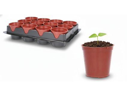 SADA 12 KS KVETINÁČOV NA SADENIE PRIEMER 6 CM *3083