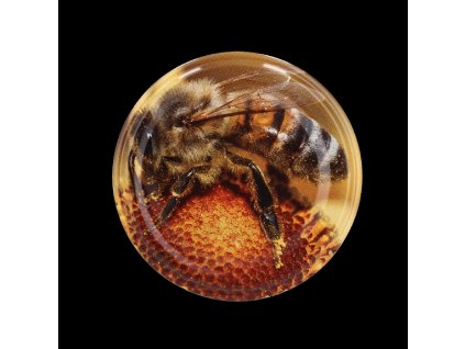 VIEČKA fi82 6z VČELA KART.660KS /MED-2/0909