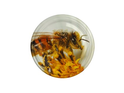 VEKO fi82 6z VEĽKÁ VČELA NA KVETINE KART.660KS CHOMIK/3199/