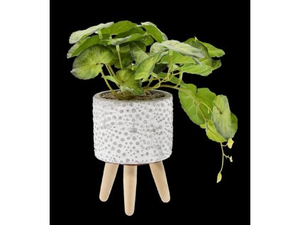 UMELÁ RASTLINA 20 CM