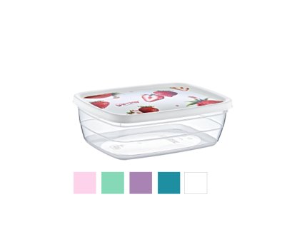 OBDĹŽNIKOVÁ NÁDOBA DECO TREND BOX 1,2L *8075