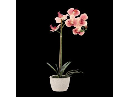 UMELÝ KVET - ORCHIDEA MIX 3 FARIEB 43 CM 1ks