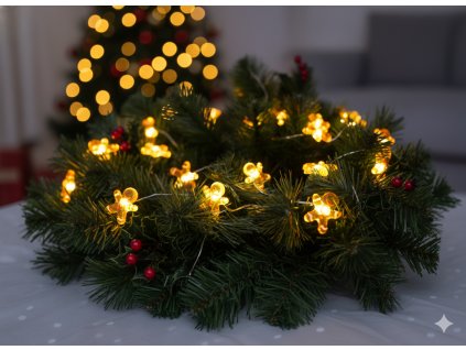 LED SVETELNÁ REŤAZ MEDOVNÍKOVÝ MUŽ 20 L NA BATÉRIE bal=20ks *0214