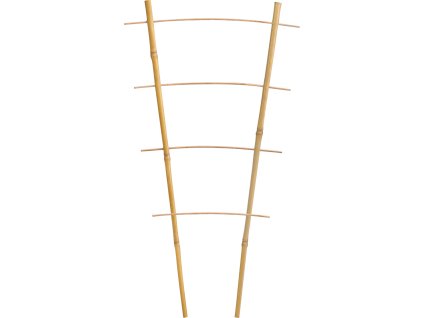 DVOJITÝ BAMBUSOVÝ REBRÍK 43 CM bal=25ks *3182