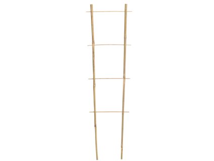 BAMBUSOVÝ REBRÍK 120 CM x 10/28 CM x 10/12 MM bal=25ks *1664