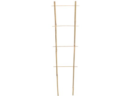 BAMBUSOVÝ REBRÍK 180 CM x 10/28 CM x 10/12 MM balenie=25ks *1688